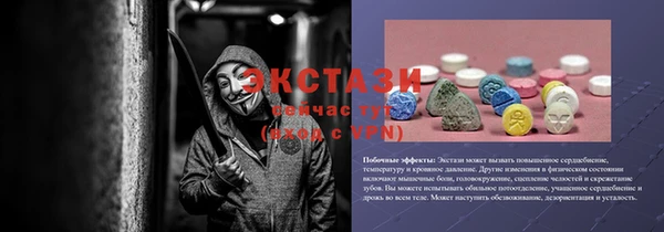 мет Алексин