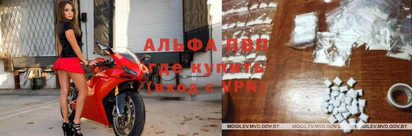 мет Алексин